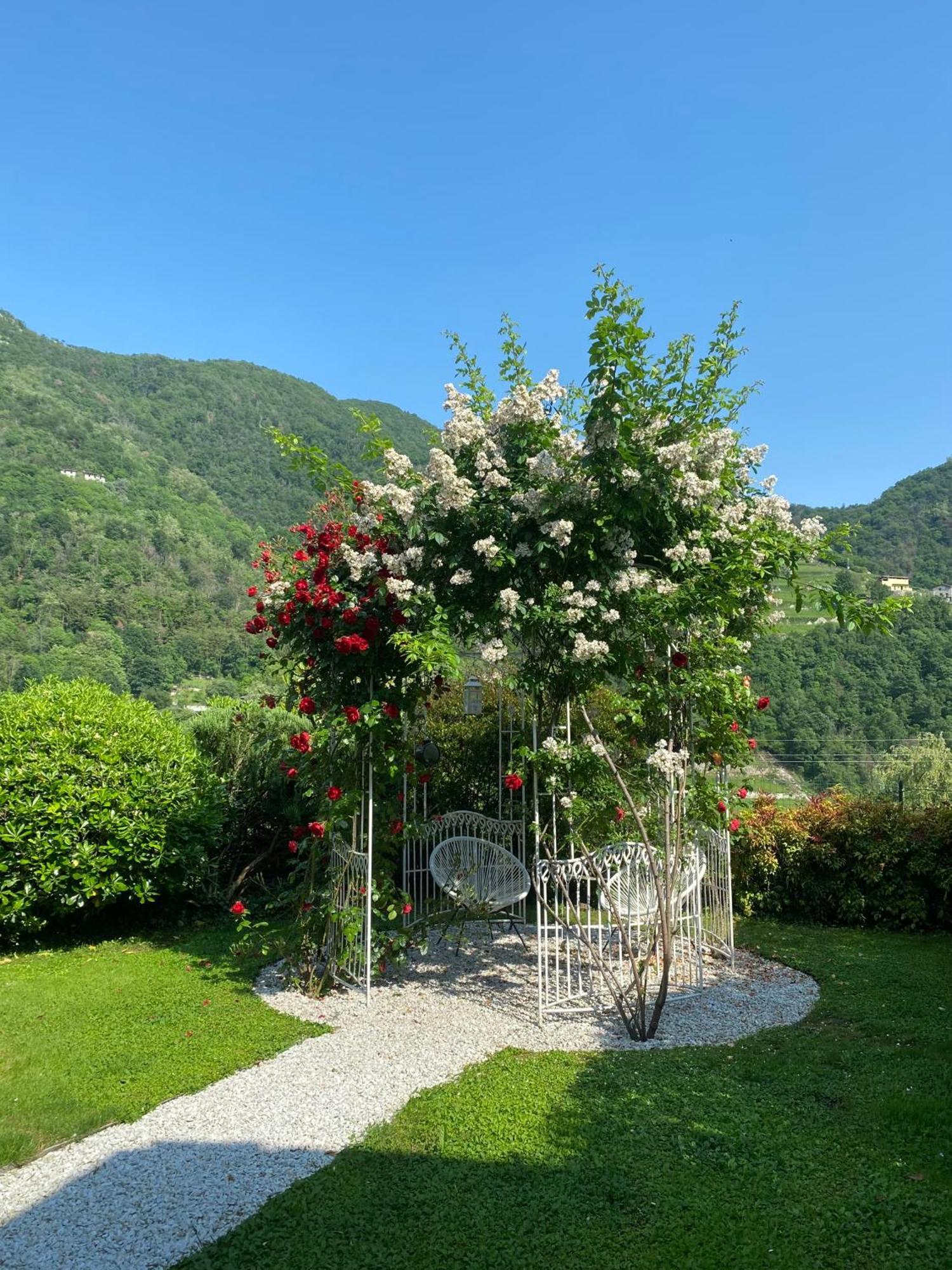 Bed And Breakfast Casa Del Nonno Adrara San Rocco Eksteriør bilde